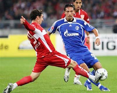 开放的可持 开放的可持